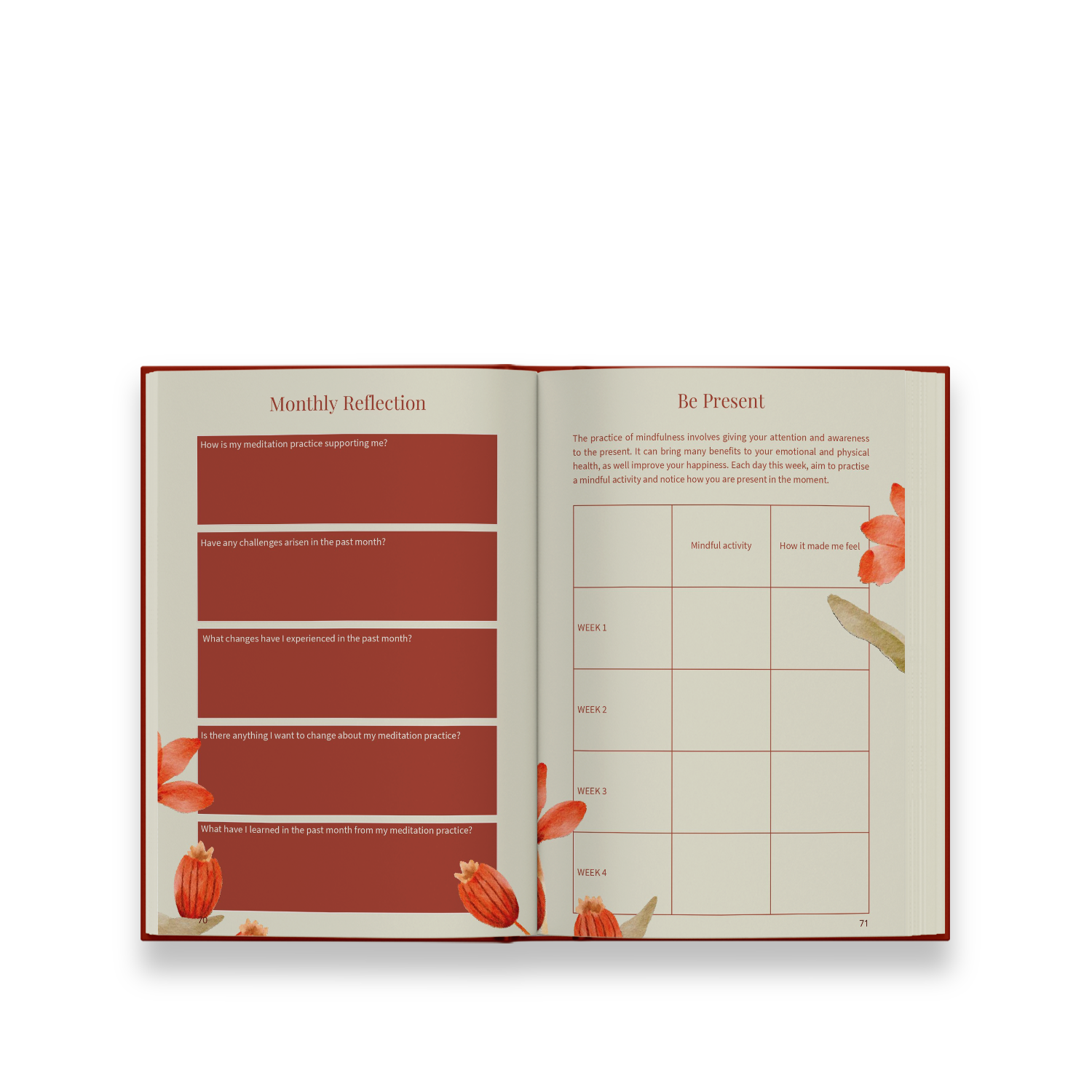 My Meditation Journal