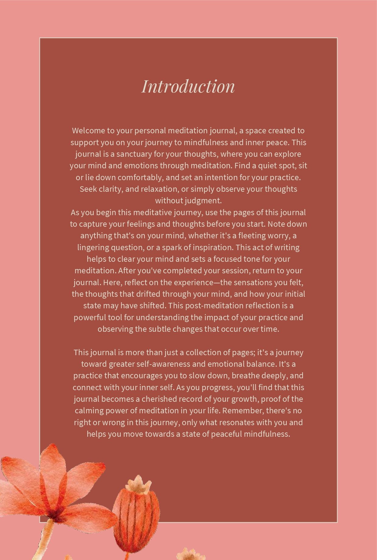 My Meditation Journal