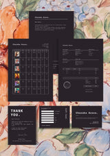 Professional Artist Pack