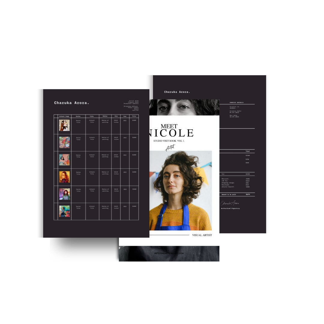 Professional Artist Pack