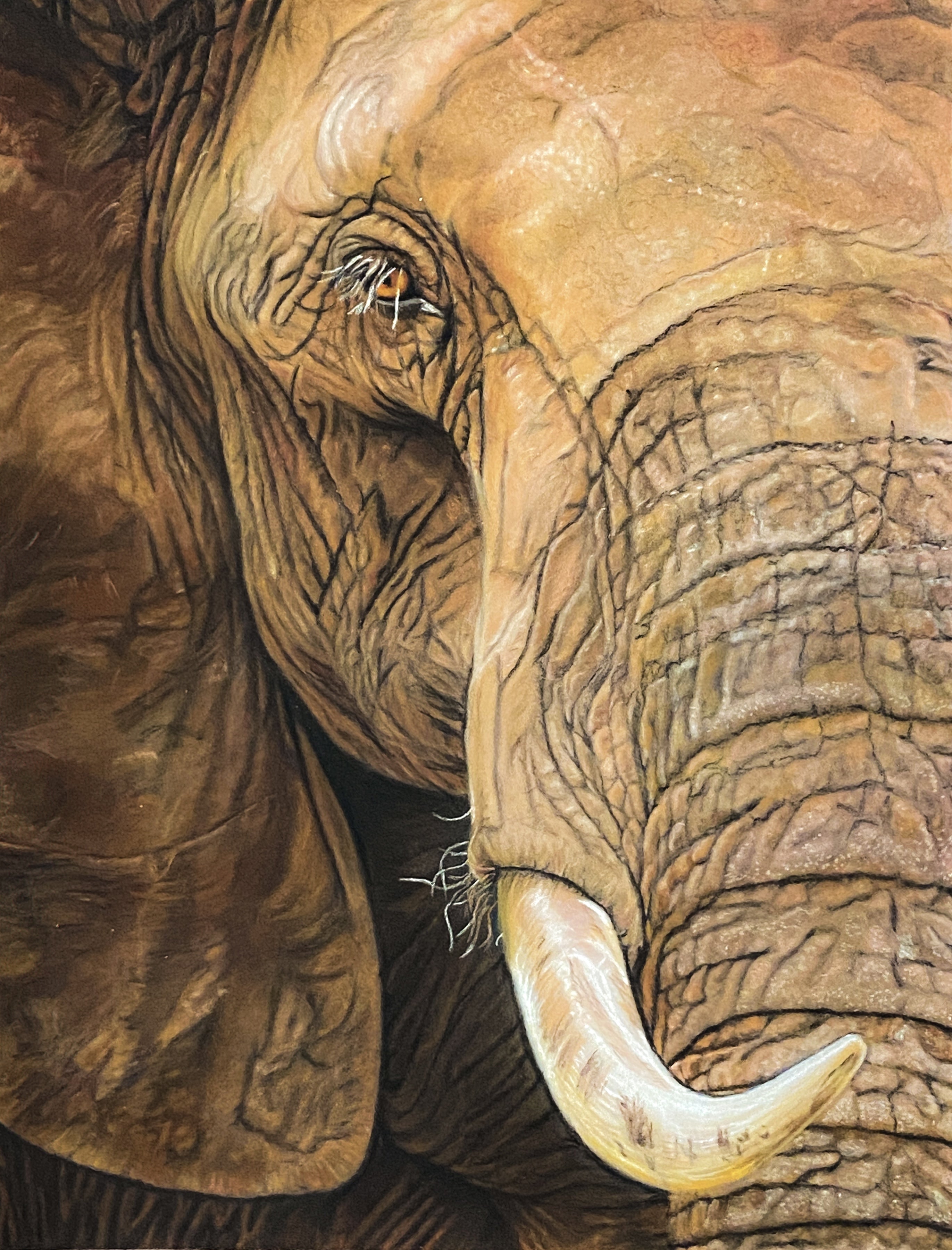 101 Art Book: Animal Edition