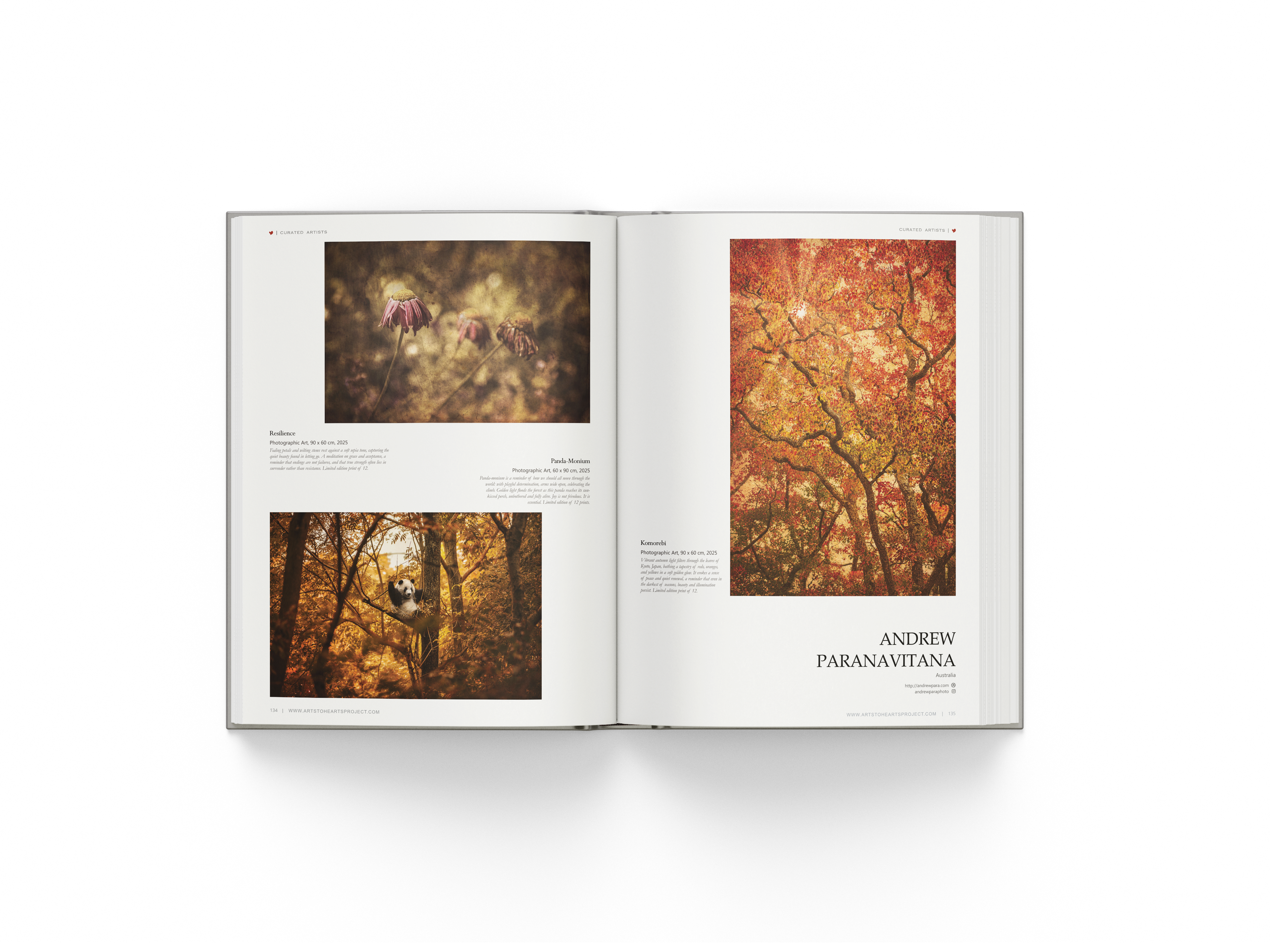 101 Art Book : Nature Edition 2