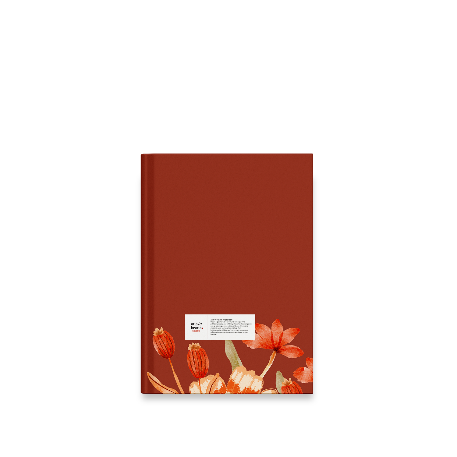 My Meditation Journal