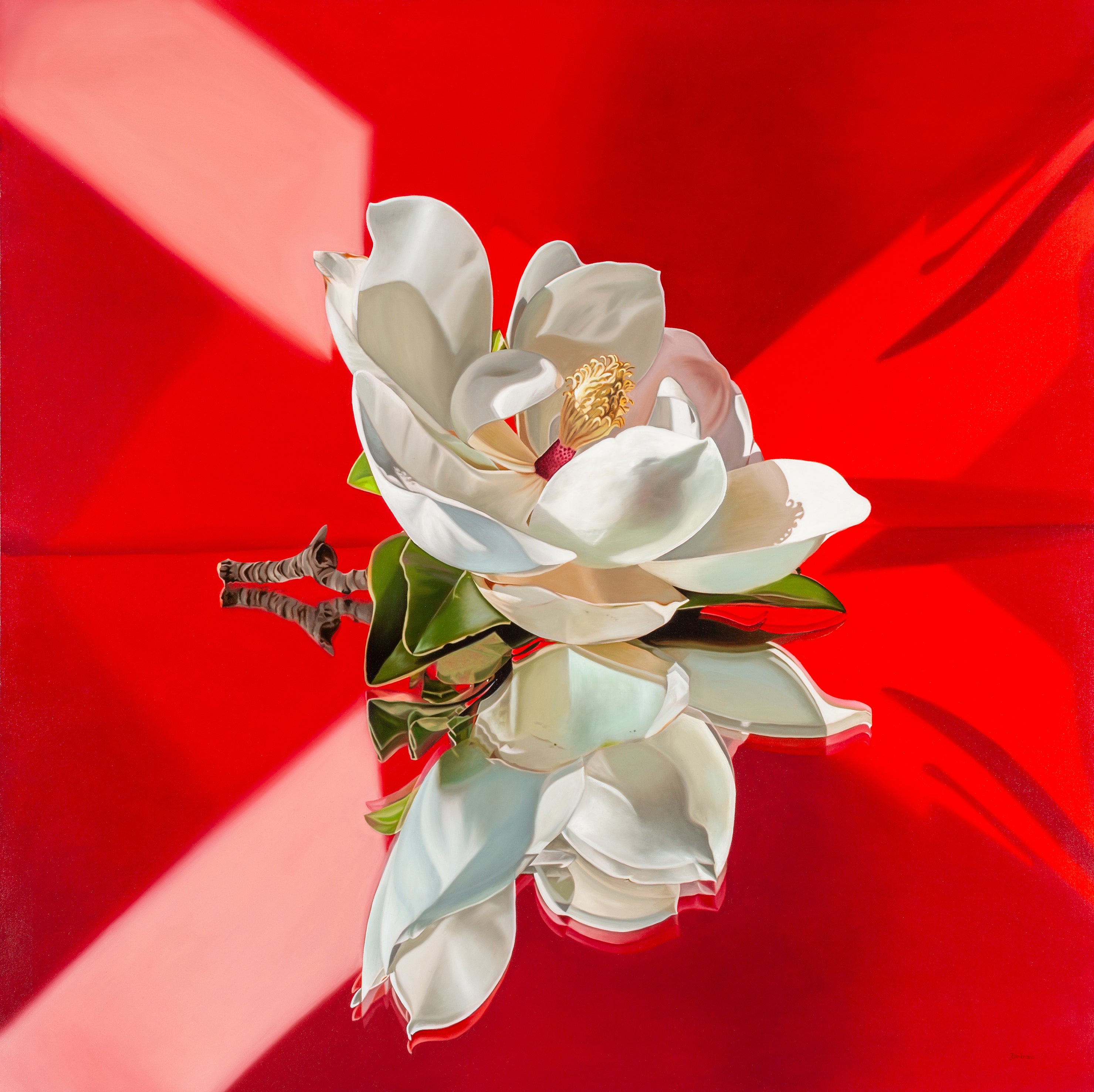 The Creative Process Book