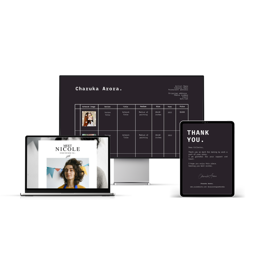 Professional Artist Pack