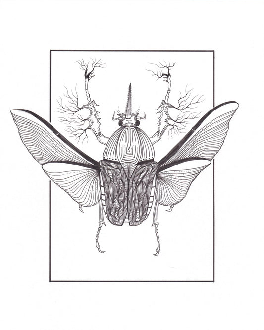 Flower Beetle by Isaac prior
