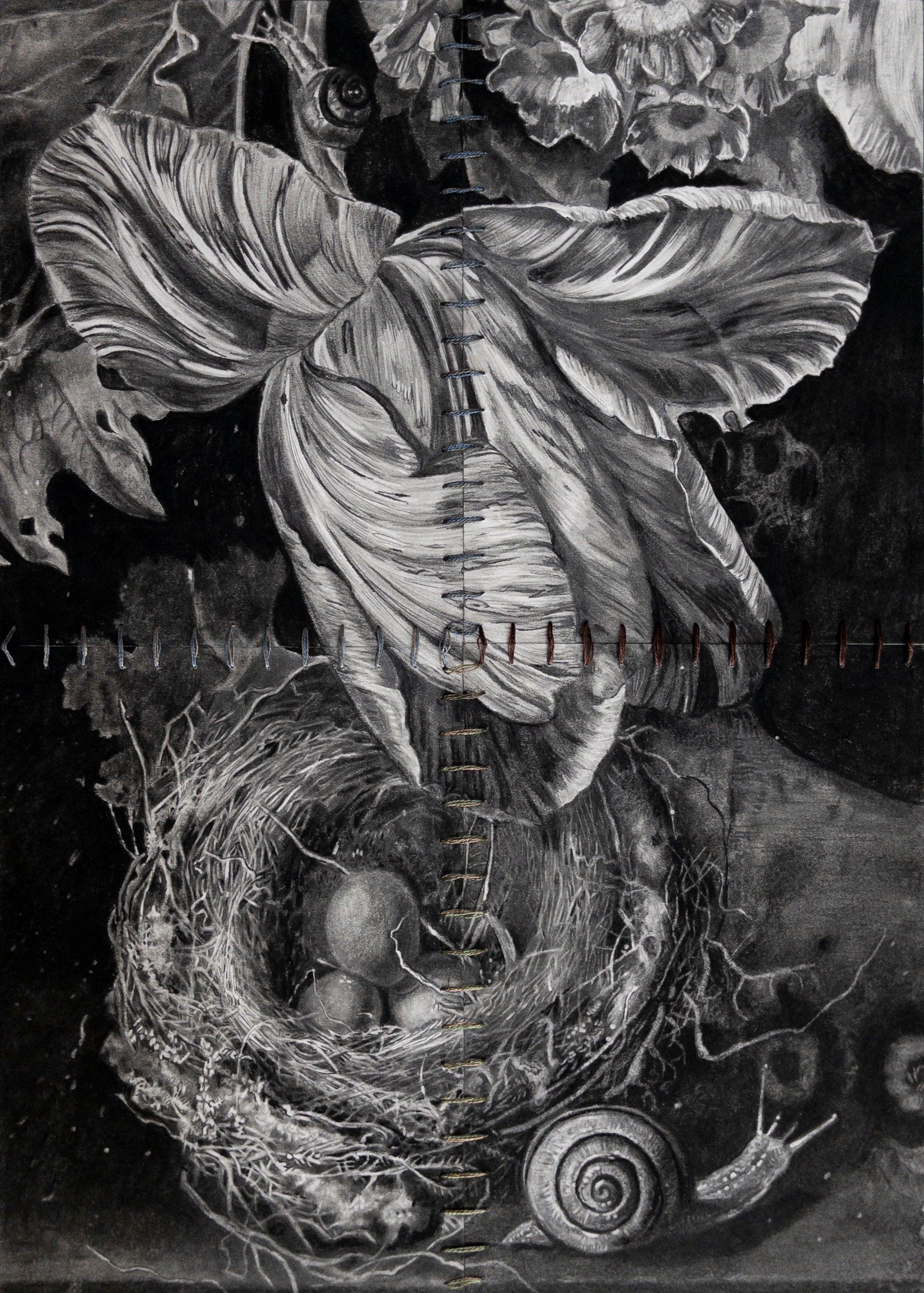 101 Art Book : Nature Edition