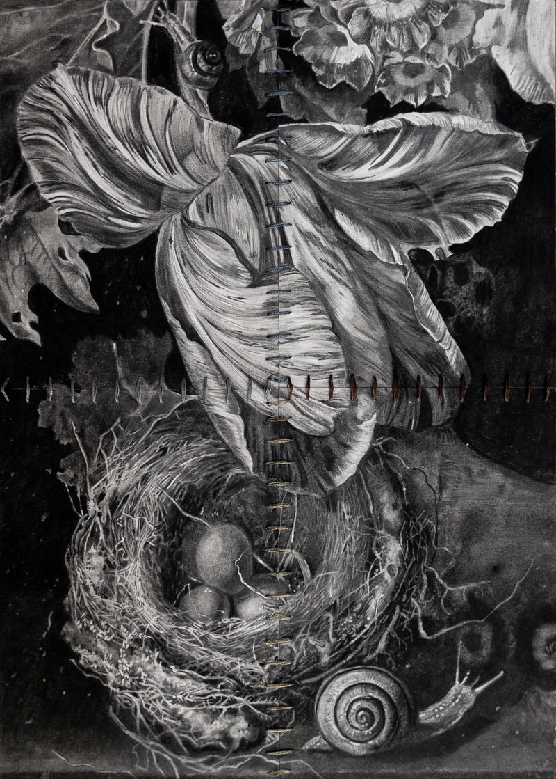 101 Art Book : Nature Edition