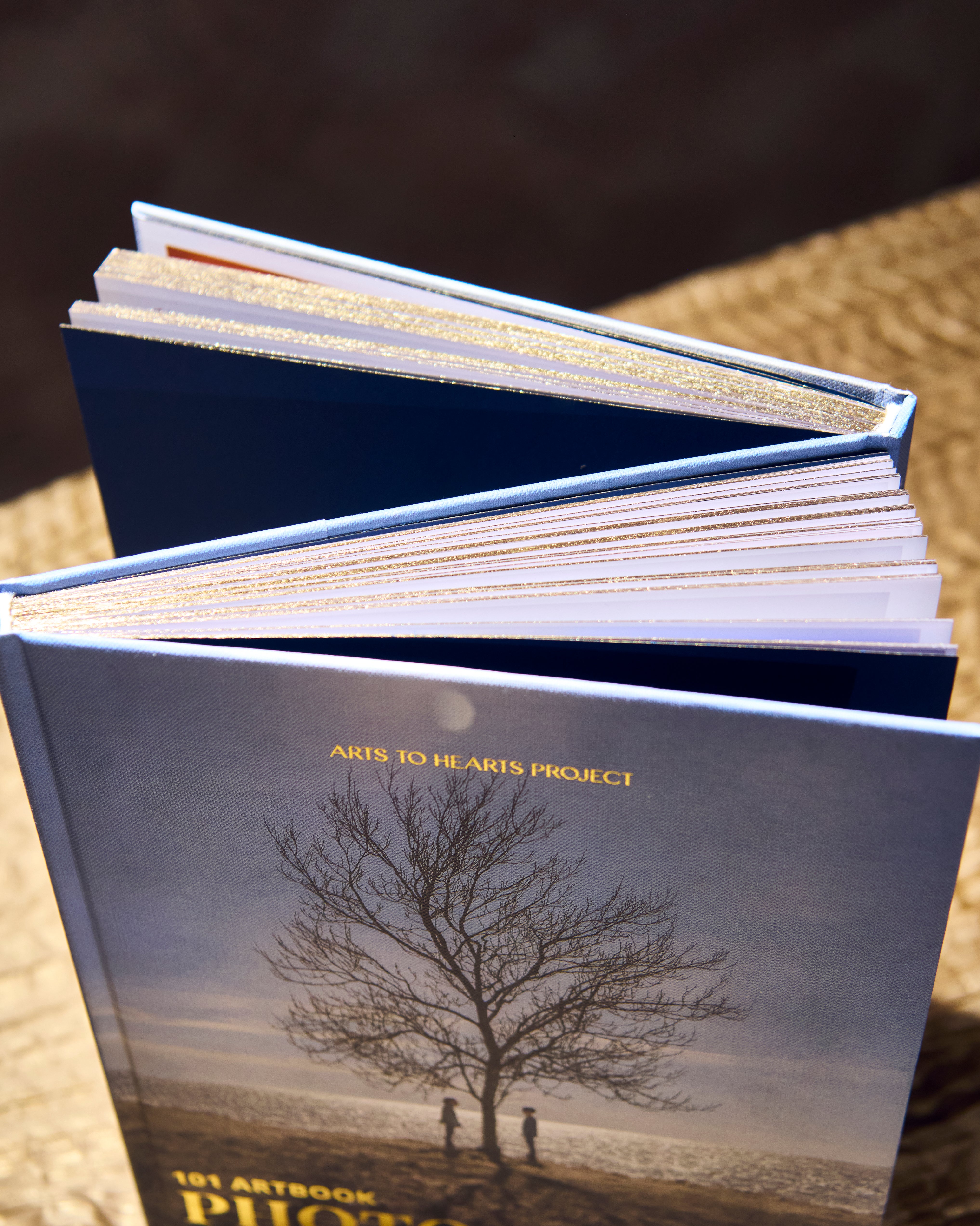 101 Art Book: Photography Edition