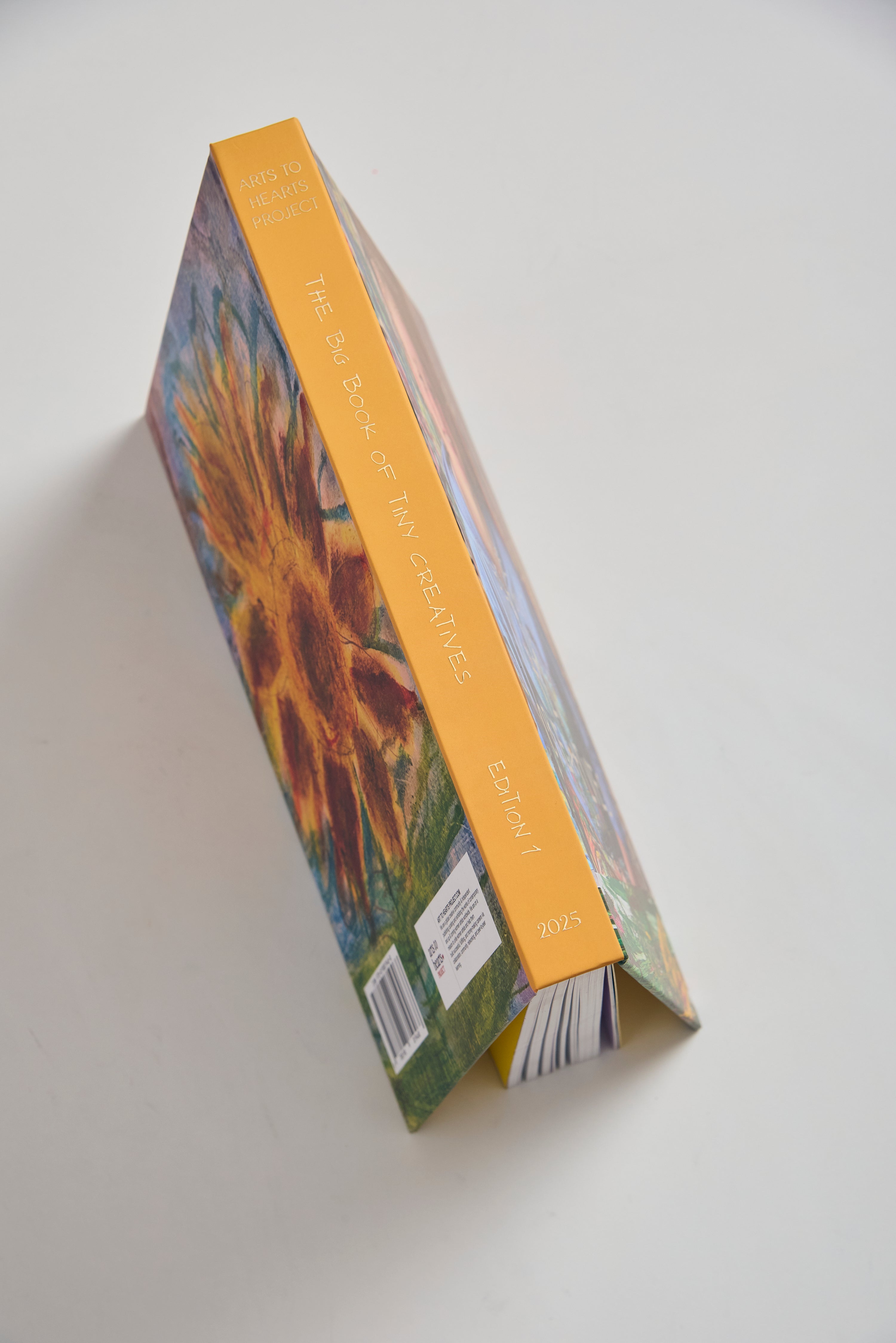 The Big Book of Tiny Creatives